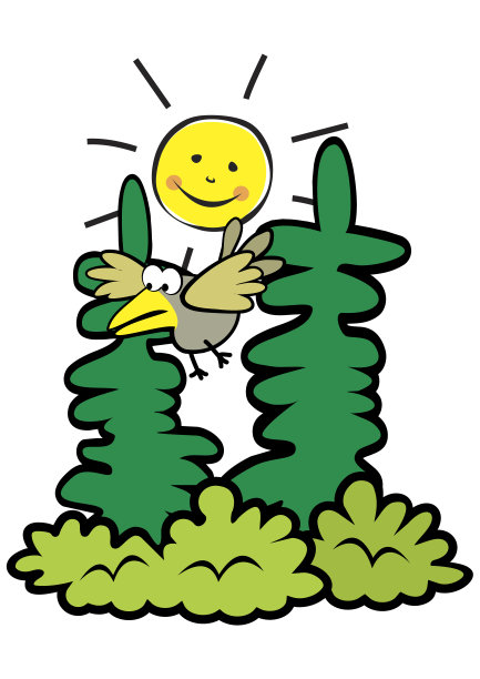 森林和鸟图片下载