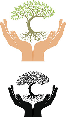 手中颤抖的树图片下载