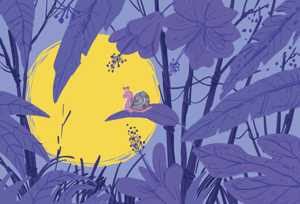 日出时沉思的蜗牛图片下载