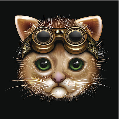 蒸汽朋克的猫脸图片下载
