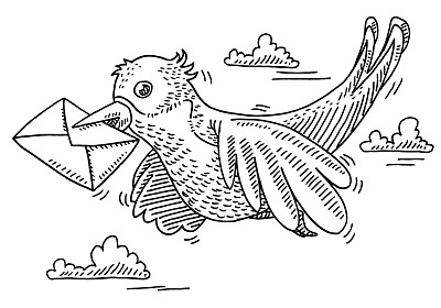 飞鸟送信图图片下载