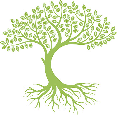 弯曲的树图片下载