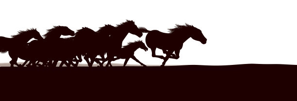 马踩踏事件背景图片下载