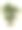 橡树或栎属，维多利亚植物学插图图片下载