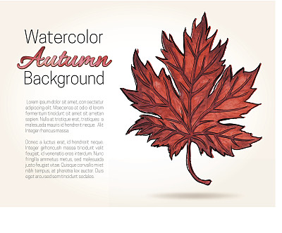 秋季水彩背景与枫叶图片下载