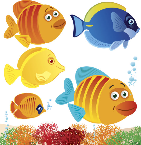 热带鱼图片下载