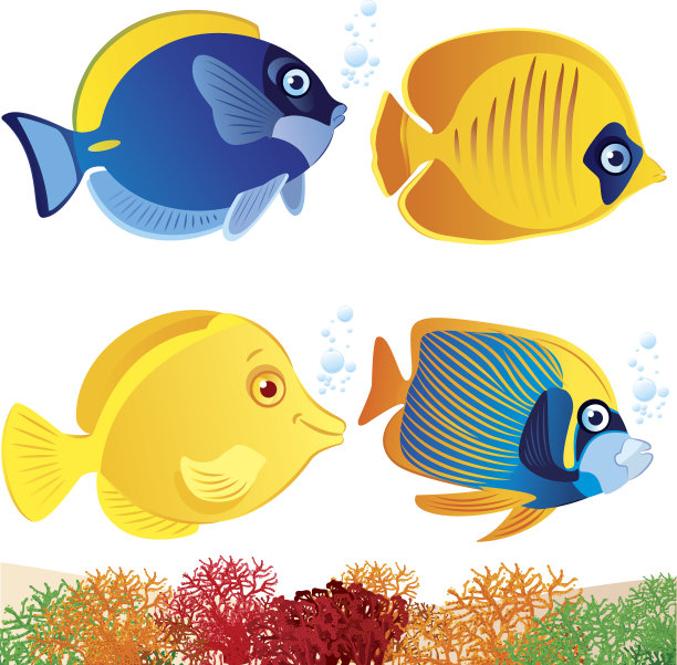 热带鱼图片下载