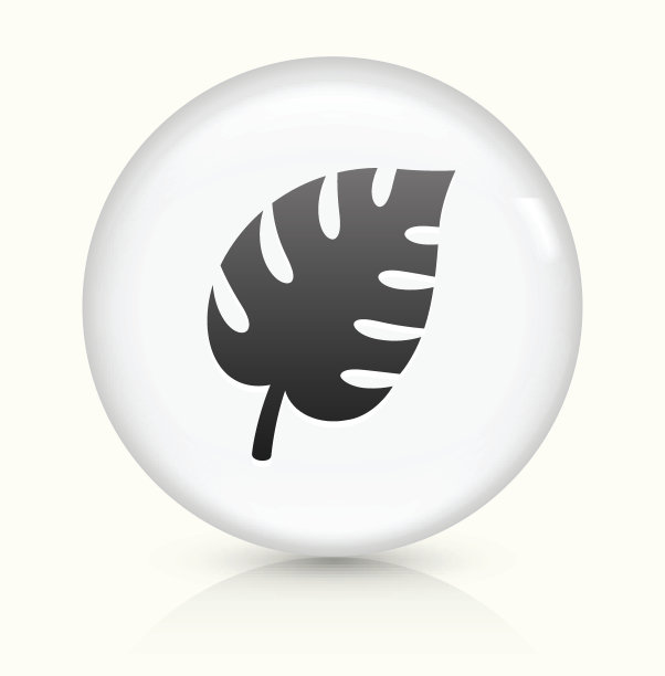 植物叶片图标上白色圆形矢量按钮图片下载