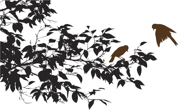 晴空下的植物剪影图片下载