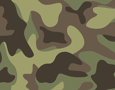 丛林迷彩图片下载