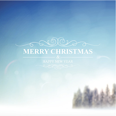 冬天的风景，圣诞树与雪在明亮的蓝色天空图片下载