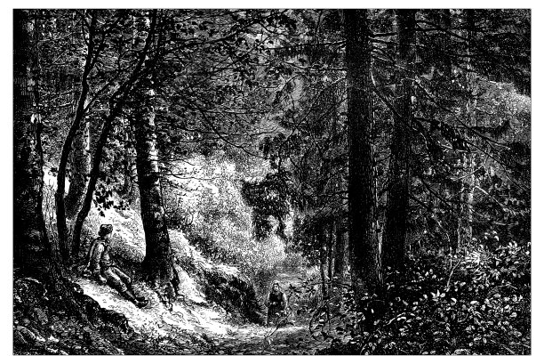 瑞士古玩插画:森林图片下载