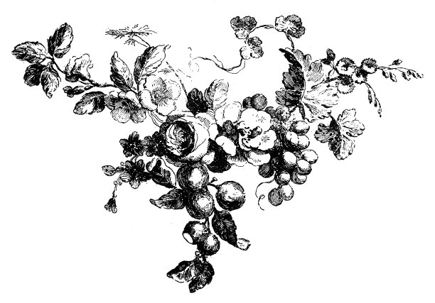 古董插图的小水果和花花环图片下载