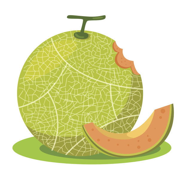 甜瓜橙插画师图片下载