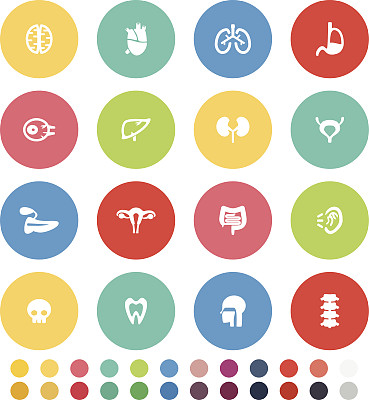 器官图标设置图片下载