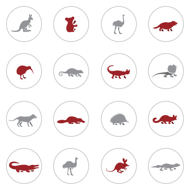 澳大利亚动物图标集图片下载