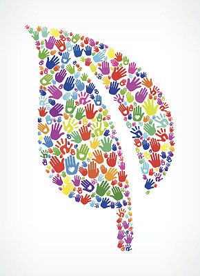 自然和手叶图案白色背景图片下载