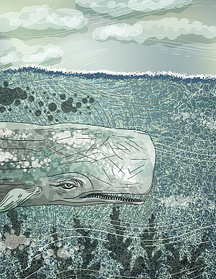 在海洋中游泳的巨型鲸鱼图片下载