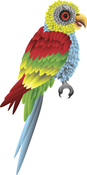 白色背景下的鹦鹉特写镜头图片下载