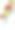 白色背景下的鹦鹉特写镜头图片下载