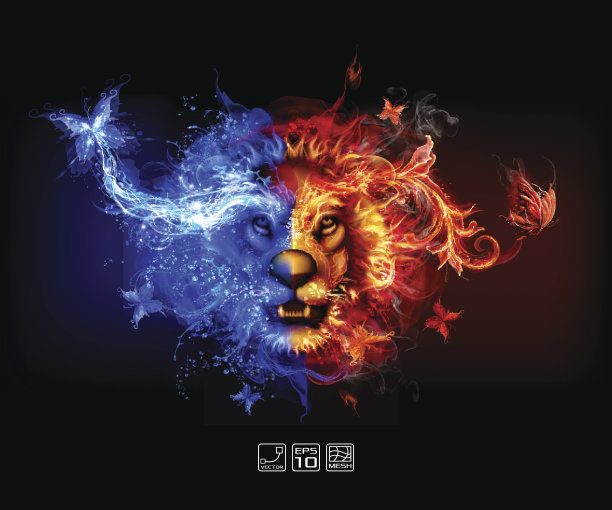 抽象的火和水狮子图片下载