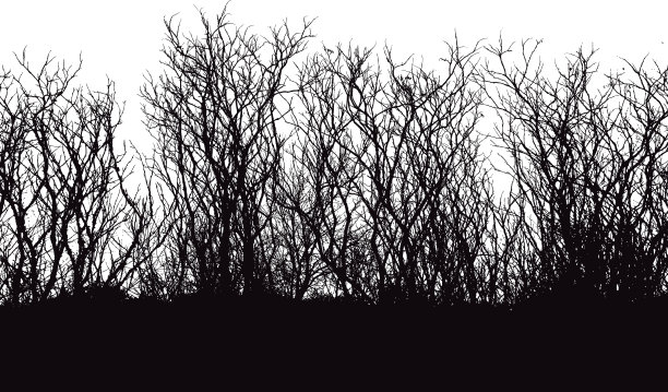 枝向量轮廓图片下载