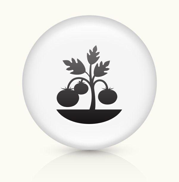 植物图标上的白色圆形矢量按钮图片下载