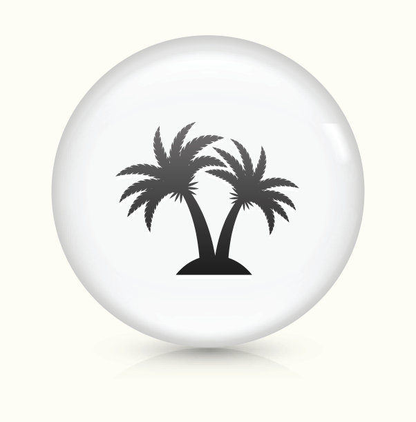 棕榈树图标上的白色圆形矢量按钮图片下载