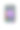 白色的iPhone 6图片下载