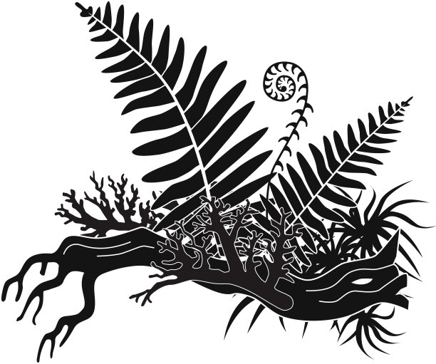 森林原木上的媒介蕨类和地衣图片下载