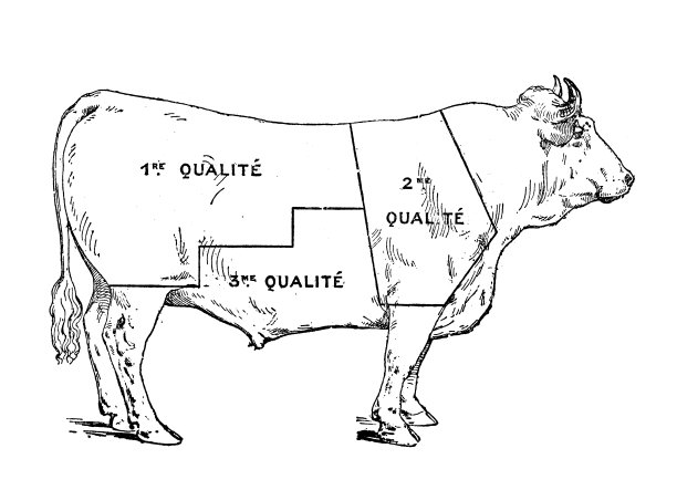 牛肉节的古董插图图片下载