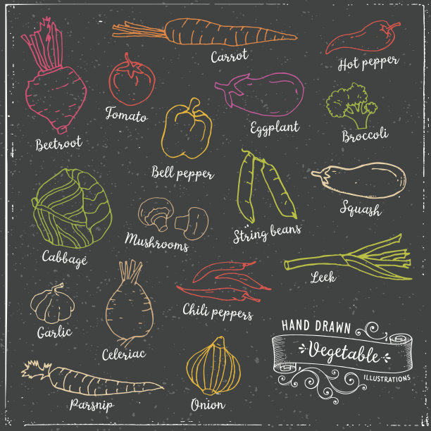 手绘的蔬菜图片下载