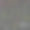 手绘的蔬菜图片下载
