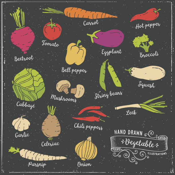 手绘的蔬菜图片下载