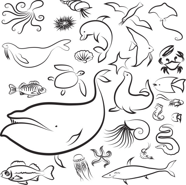 海洋世界设定图片下载