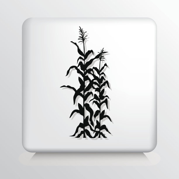 方形图标与玉米作物图片下载