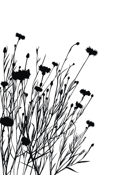 花的轮廓图片下载