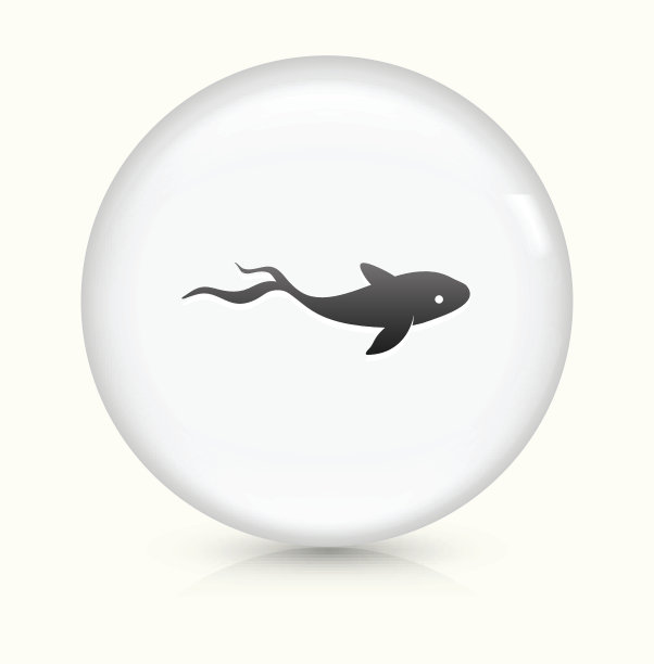 鱼图标上的白色圆形矢量按钮图片下载