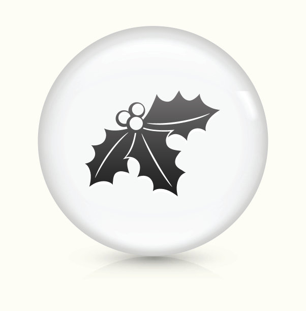 一品红图标上的白色圆形按钮矢量图片下载