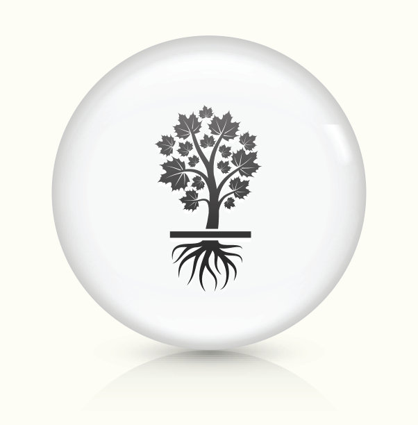 越来越多的枫树图片下载