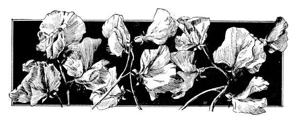 古董童书漫画插图:花卉装饰图片下载