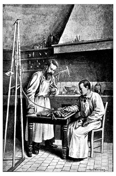 兔兽医手术实验的古董插图图片下载