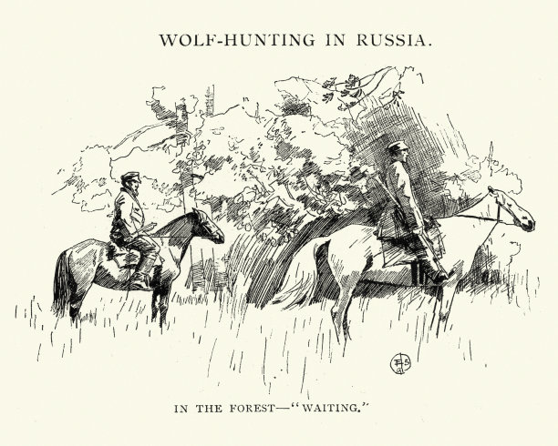 19世纪末俄罗斯的狼捕猎图片下载