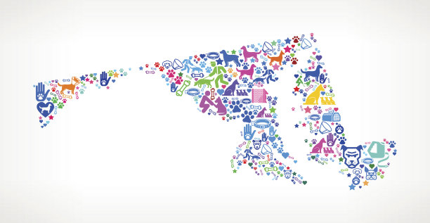 马里兰狗和狗宠物彩色图标图案图片下载