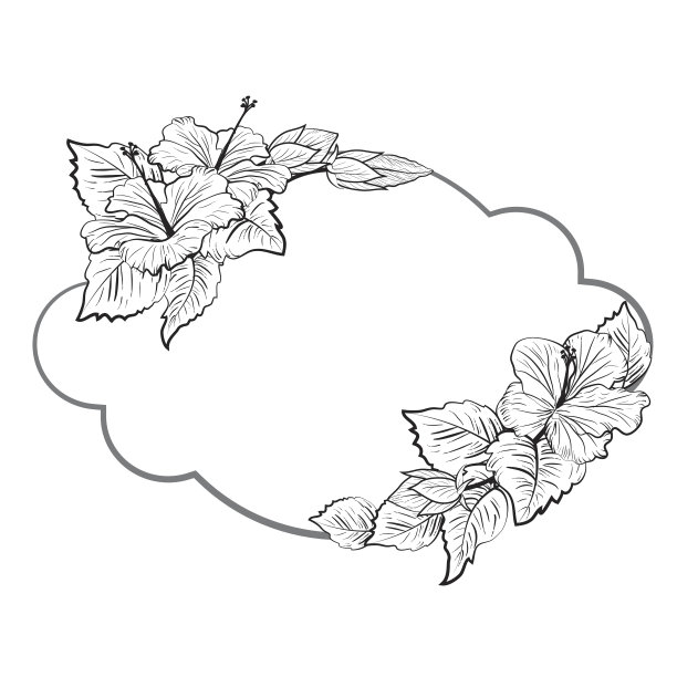 黑色和白色的热带木槿花框架图片下载