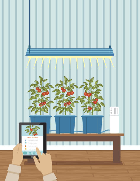 物联网水培室内种植系统概念图片下载
