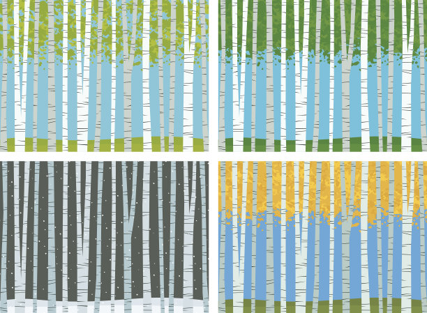 季节的桦树图片下载