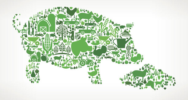 养猪和农业绿色图标模式图片下载