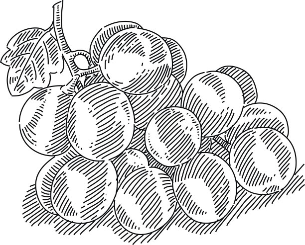 葡萄图图片下载