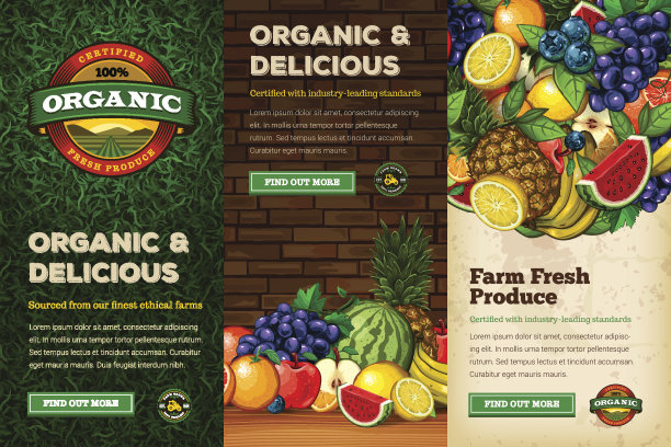 有机农场新鲜网横幅设置素材图片